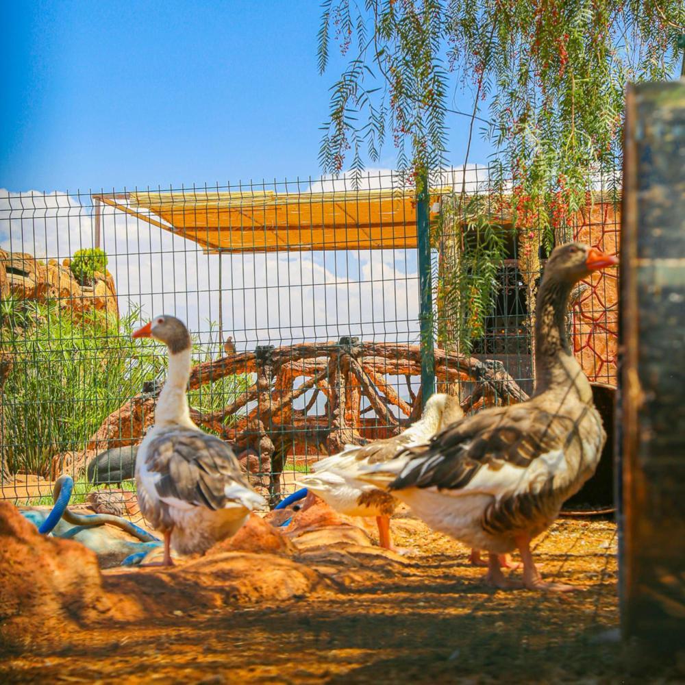 Hotel Jnane Riad Douar Akkara Εξωτερικό φωτογραφία